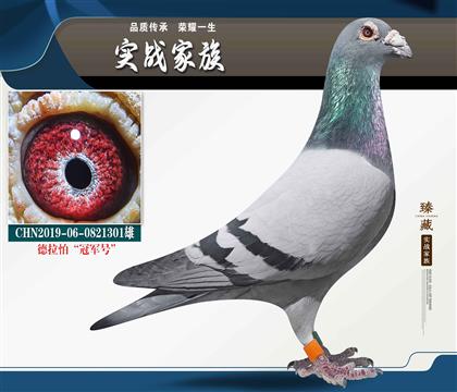 德國(guó)戰(zhàn)車 德拉怕“冠軍號(hào)”