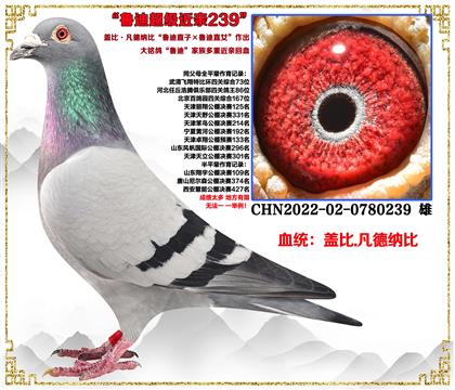 w.¼{ȡ?sh)ֱӡ(sh)ֱŮH