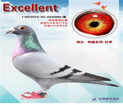 ݵ蹫Qِ8