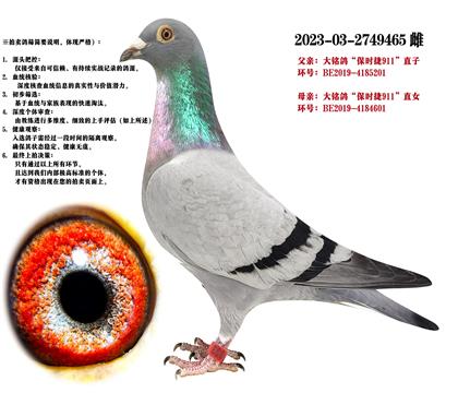 r(sh)911ֱXr(sh)911ֱŮ