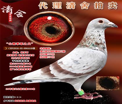 “公棚季軍之父”
