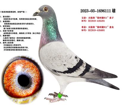 r(sh)911ֱXr(sh)911ֱŮ
