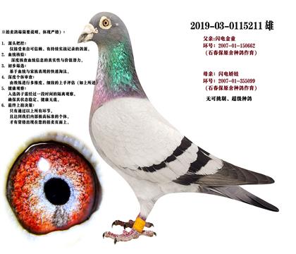 NѡʯɣʿW늋Xͯ