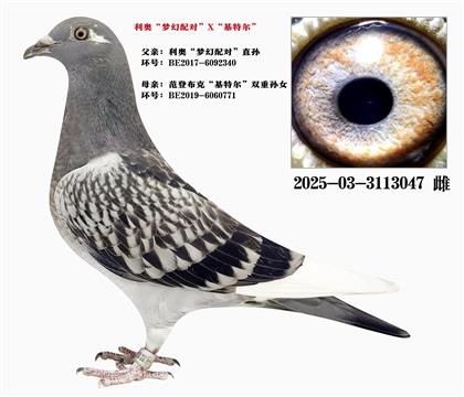 W䌦ֱOXؠ