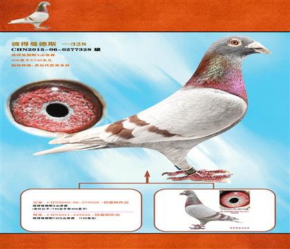 <彼得曼德斯>740X406