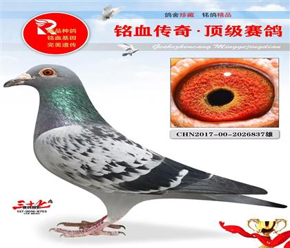 (wn)A_(chung)