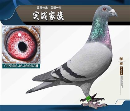 威廉迪布恩《墨菲定律》