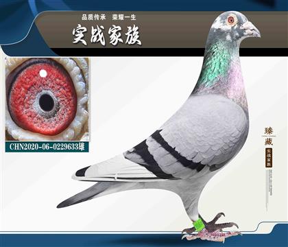 兩大“快速家族”融合