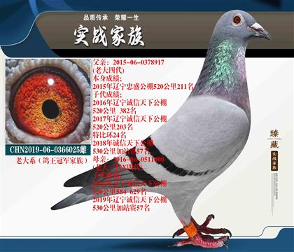 “秦玉鵬老大系”2021年開爾大棚團(tuán)體冠軍家族