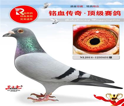蓋斯超級(jí)雄