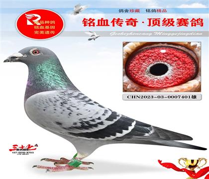 最好的東方不敗、友翔做出