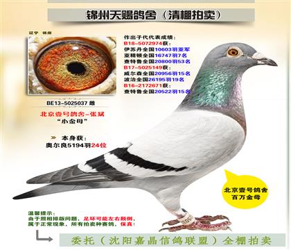 Ҽ̖-Сĸ