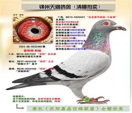 피S䌦Ӵ