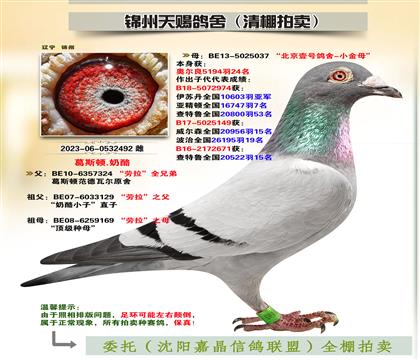 피S䌦Ӵ