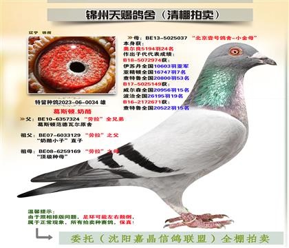피S䌦Ӵ