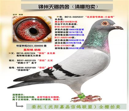 피S䌦Ӵ