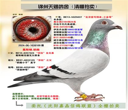 피S䌦Ӵ