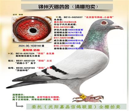 피S䌦Ӵ