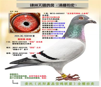 피S䌦Ӵ