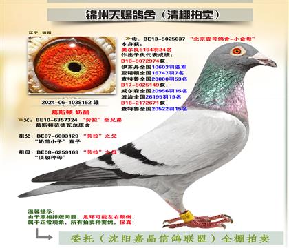 피S䌦Ӵ