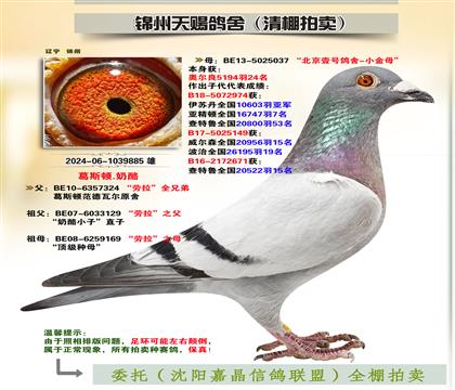 피S䌦Ӵ