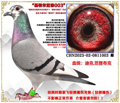 c]ǲˡWƥ˻ؠ006ֱӡؠֱŮ