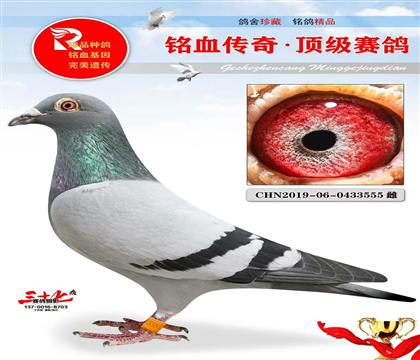 (j)SֱŮ