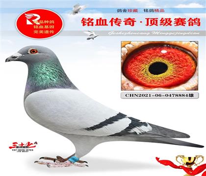 wȇ(gu)ʼһֱŮ