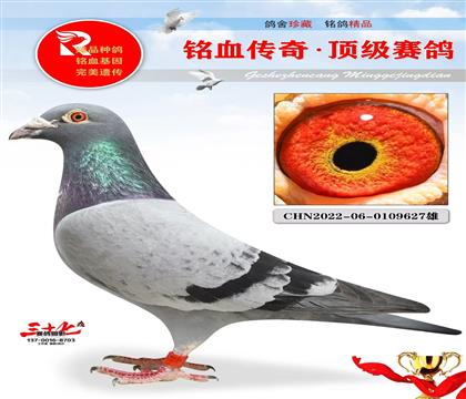 츣̖(ho)O؄e