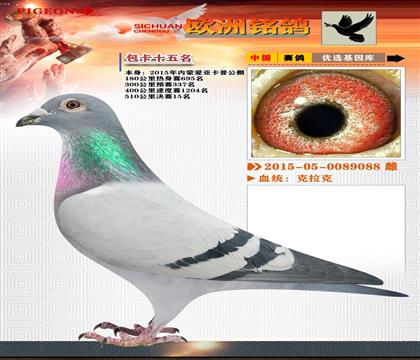 2-Qِ15