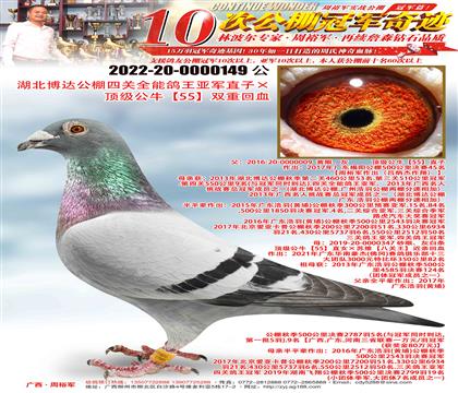 _(d)P(gun)ȫ܊ֱӡ피(j)ţ55pػѪ