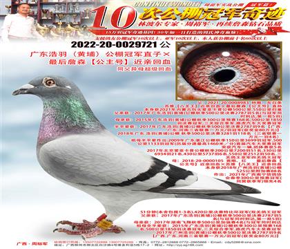 V|Sң܊ֱӡղɭ̖(ho)HѪ