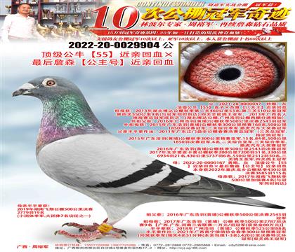 피(j)ţ55HѪղɭ̖(ho)HѪ