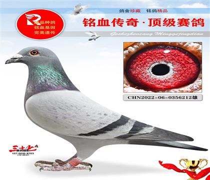 r911ֵܡ½ķֶŮ
