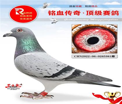 r911ֵܡ½ķֶŮ