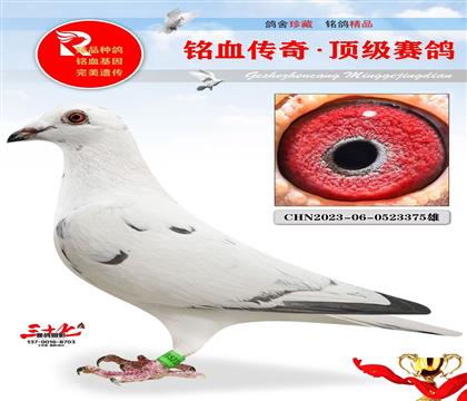 L254ֱӡfֱŮ