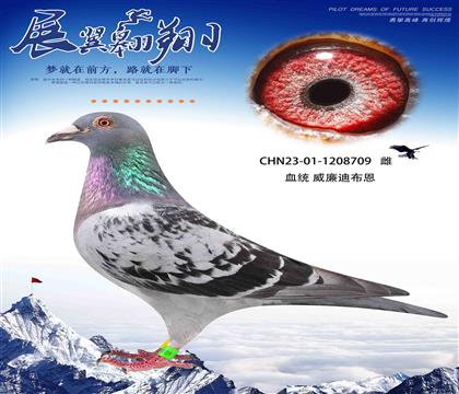 威廉迪布恩天王星直女作出