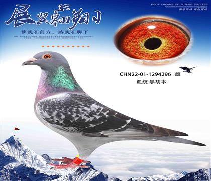 黑胡本296