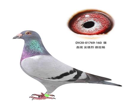ҵ160