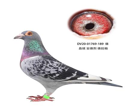 ҵ189