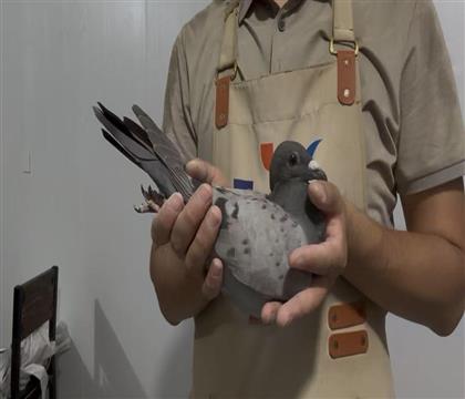 õȱ343̖