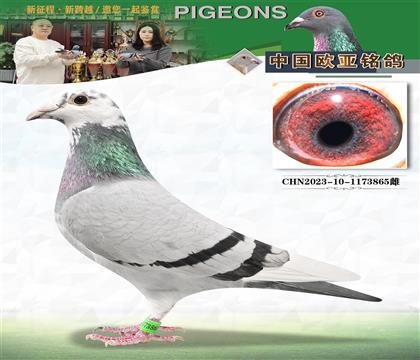 XRƷN614ֱx58013