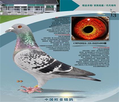WԭᡰO855x̖019