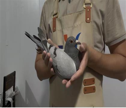 ȰO