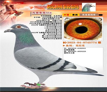 3-ǲ774