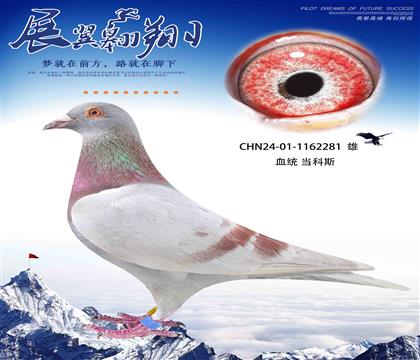速度狂魔當(dāng)克斯281
