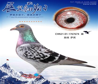 短跑之王 薩賓674