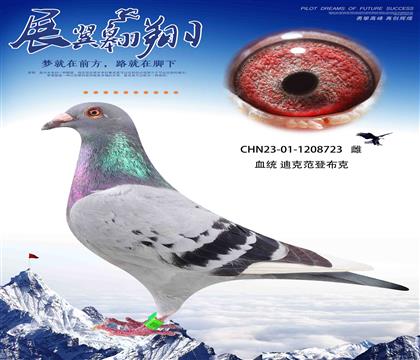 迪克凡登布克723