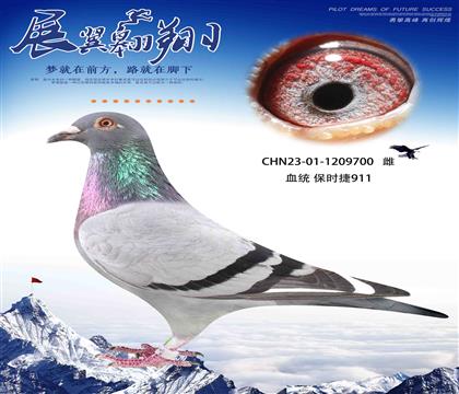 保時(shí)捷911近親回血作出700
