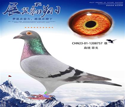 飛戈直孫作出757